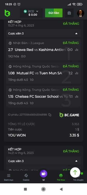 Screenshot_2023-06-04-18-25-31-817_com.android.chrome.jpg
